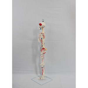 85CM - Product Image 1