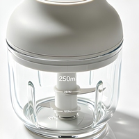 Hachoir Électrique Portable USB OEM 250ml en Acier Inoxydable, Mini Broyeur de Viande et Légumes Rechargeable pour Usage Domestique