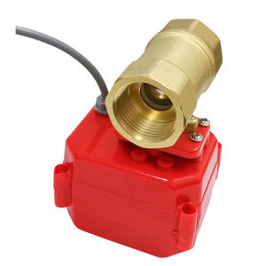 Vanne de vidange électrique miniature à deux voies en laiton DN20, conception à 6 points - Product Image 5