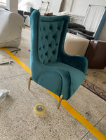 Fauteuil individuel moderne et minimaliste de luxe léger, chaise paresseuse en tissu, chaise Tigre artistique, mobilier de maison nordique simple pour petit appartement