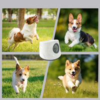 Lanceur de balles intelligent pour animaux de compagnie, best-seller transfrontalier, jouet pour chien, entraînement en plein air, interactif, durable, résistant aux morsures, automatique, ABS