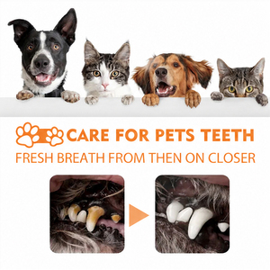 Spray buccal personnalisé OEM pour animaux de compagnie, marque propre, à base de plantes naturelles, sans parfum, sûr pour lécher, rafraîchisseur d'haleine pour chiens et chats - Product Image 4