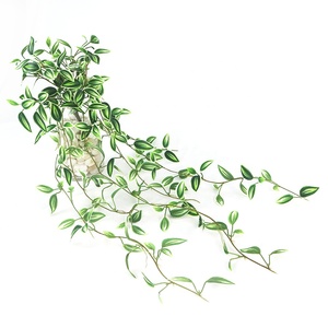 Pianta Artificiale Pendente Variegata Lunga 70cm, Simulazione Foglie Occipitale - Product Image 2