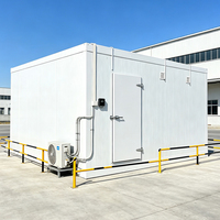 Groupe Frigorifique Monobloc Commercial Économe en Énergie pour Chambre Froide de Maturation de Fruits et Congélateur de Légumes