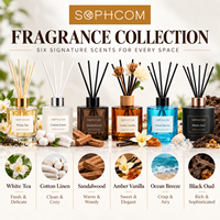 100ml diffuseur de roseaux d'huile essentielle naturelle avec bâtons décor à la maison parfum parfum aromathérapie coffret cadeau pour salon bureau