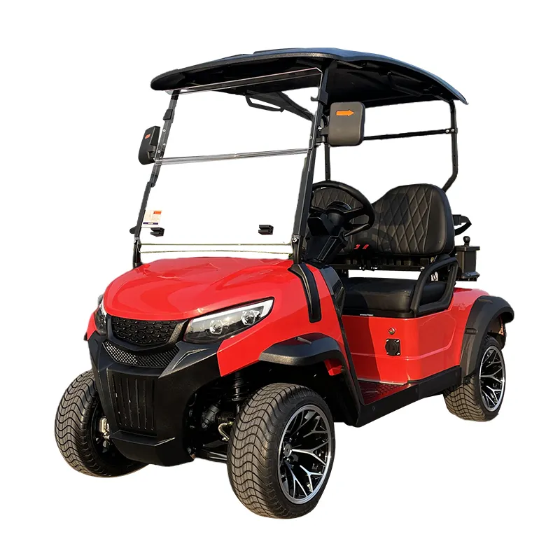 メーカーカスタムゴルフカート2シート電動ゴルフカートリチウム電池プレデターG2格安電気自動車