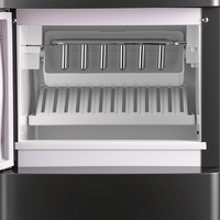 Distributeur d'eau domestique 2-en-1 avancé RAF R.11004 et machine à glaçons automatique avec becs hygiéniques dissimulés