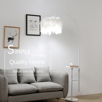 Lampadaire en plumes de style moderne, adapté aux salons, chambres à coucher, canapés, tables basses et tables de pêche.