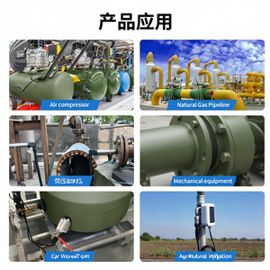 GAMICOS GPT200 0.5% 100MPa Diffused <b>Silicon</b> Piezoresistive air <b>Liquid</b> Fuel 304 Stainless Steel 4-20mA Water Pressure Sensor - Product Image 5