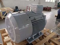 Motor Listrik AC Seri YE2 30KW 37KW 3 Fasa Motor Induksi Asinkron 50Hz 60Hz Kelas F Efisiensi IE2 Penggerak Industri