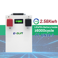 Baterai LiFePO4 Surya ESUN 24V 100ah 200ah yang Dapat Diperluas 2.5KWH 5KWH Baterai Lithium Kompatibel Dengan Semua Inverter Utama