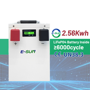 Аккумулятор ESUN LiFePO4 24В 100Ач 200Ач, расширяемый, для солнечных батарей, 2.5кВтч 5кВтч, совместим со всеми основными инверторами - Product Image 2