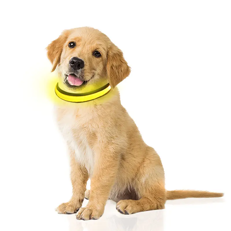 USB wiederauf ladbare LED blinkende Sicherheit Hunde halsband für den Hund nachts gehen