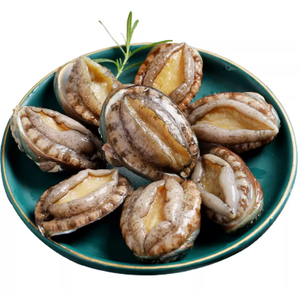 אספקה ישירה מהמפעל של אבאלון קפוא פרימיום, טרי וקפוא באריזות ואקום, במגוון גדלים, משלוח אווירי של פירות ים - Product Image 1