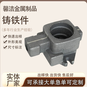 ตัวเรือนเหล็กหล่อแบบ Pillow Block สำหรับประกอบในโรงงานผลิต - Product Image 4