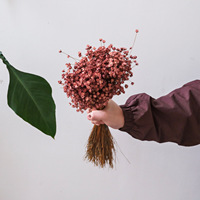 Groothandelsprijs Hoge Kwaliteit 12cm Gedroogde Chasmanthium Kunstmatige Ge conserveerde Mini Sterbloemen 12cm voor Valentijnsdag Kerstmis