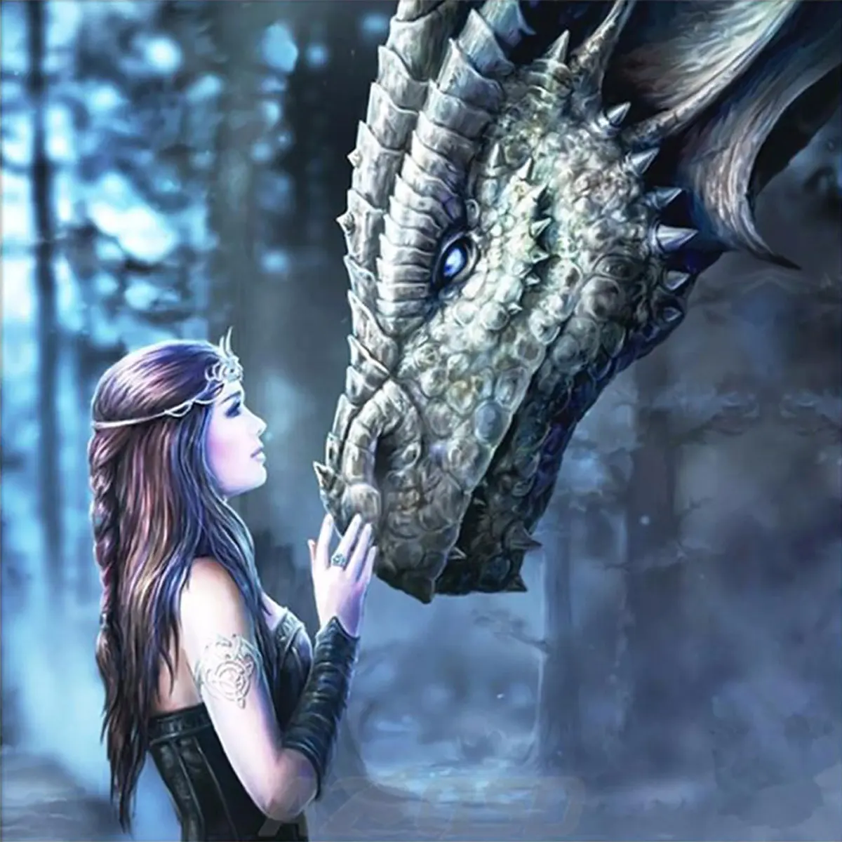 Какой дракон дева. Anne Stokes драконы. Девушка и дракон. Девушка и дракон фэнтези. Девочка и дракон.