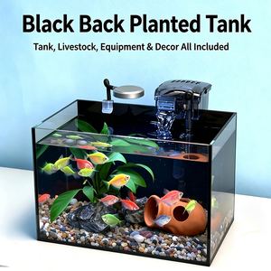 Jinjing Ultra-Clear Black-Back Desktop Eco Aquarium - Filtered Plant Tank - Product Image 4