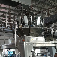 Machine à emballer les chips de pommes de terre entièrement automatique 100g 500g 1000g