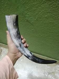 Cuerno vikingo natural de alta calidad con sonido para anuncio fiesta oración guerra trompeta por exportador indio - Product Image 5