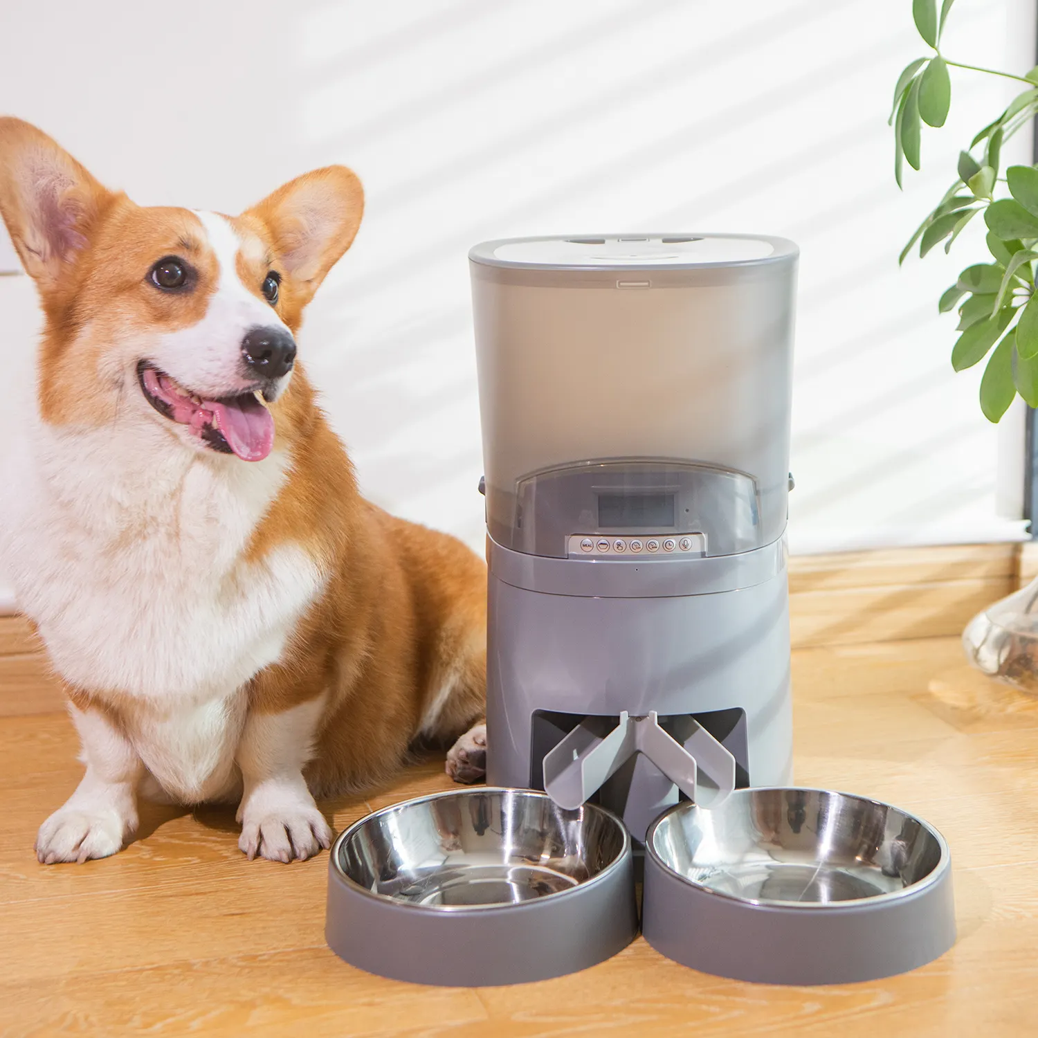 Comedor Automatico Para Perros Dispensador De Comida Para Gatos Biodegradable Microship Puppy Feeder Top Pet Feeder