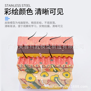 ,, - Product Image 1