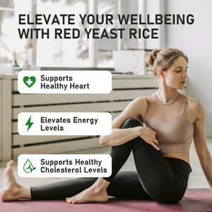 Gélules de levure de riz rouge les plus vendues, favorisent la santé cardiaque, augmentent les niveaux d'énergie, favorisent la santé digestive - Product Image 5