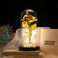 Rose en or 24 carats de haute qualité, fleur romantique en plastique dans un dôme en verre avec lumière LED, boîte cadeau pour la Saint-Valentin, la fête des mères