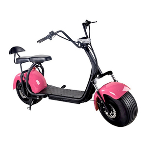 Trottinette Électrique Pliable 1000W Auto-équilibrée 48V 60V à Double Moteur - Product Image 1