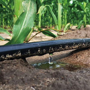 Drip Line 2000m x 16mm x 0.18mm Internal Inlay
