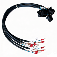Câble de connexion pour véhicule électrique, faisceau de câblage pour moto, assemblage de câbles, faisceau de câblage électronique pour automobile