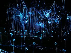 Đèn Trần Led Cố Định Hệ Thống Chiếu Sáng Sợi Quang Treo Đèn Trần Kit - Product Image 4