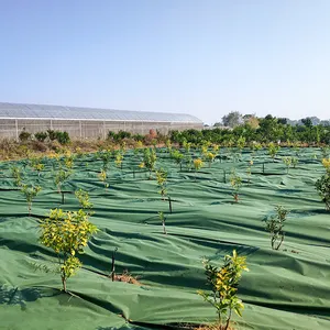 Enong Garden 635oz Plastic Mulch Durable Green Garden Landscape Fabric For Gardening Farming 2.6ftx984ft