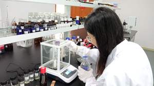 Yüksek kaliteli parfüm markalı parfüm koku toplu 100% vücut yıkama şampuan için konsantre jöle koku yağı - Product Image 6