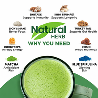Mélange de poudre de matcha biologique premium aux champignons fonctionnels pour boissons - Thé en vrac en sachet, nouveau, 100% pur et fait main