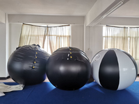 Grand costume gonflable rond de boule de myrtille de PVC de cosplay pour annoncer des gonflables