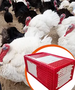 ZB PH274 kandang transportasi unggas langsung besar plastik 3 pintu burung Turki bebek angsa ayam transportasi peti