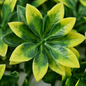 Artificial Vertical Garden Tile UV Resistant Green Leaf <b>Wall</b> <b>Panel</b> Decorative Foliage Mat for Indoor Outdoor <b>Wall</b> Decoration - Product Image 3