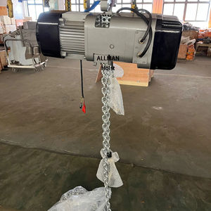 Palans électriques <span class=keywords><strong>ALLMAN</strong></span> avec variateur de vitesse ER2, palan à chaîne électrique 1 tonne, 2 tonnes, 3 tonnes, 5 tonnes, 2 vitesses, nouveau produit fourni, jaune, une unité - Product Image 2