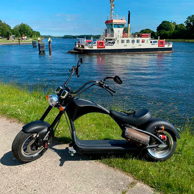 SoverSky европейские/американские склады EEC COC 3000 Вт Электрический скутер Citycoco 60 км 80 км Диапазон citicoco Чоппер китайские цены