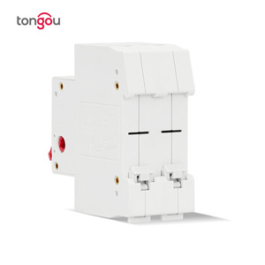 Interruptor de Aislamiento 2P 63A, Interruptor Principal TOD10-125 M302 - Product Image 3