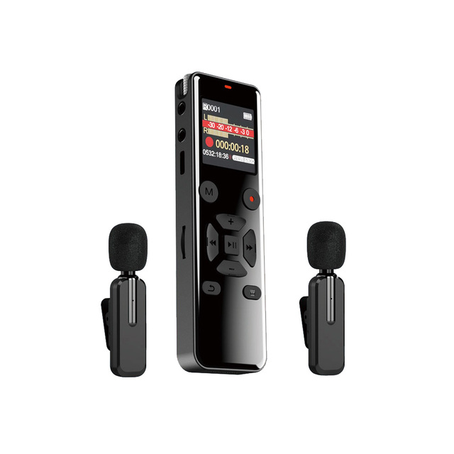 Hot Selling Microphones Recording Device Tape Portable Noise Reduction Digital Voice Recorder with Music Playback