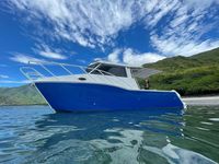 Catamaran de Qualité Supérieure en Aluminium, Australie, 7,9 m, pour Pêche, Croisière et Fêtes, à Vendre