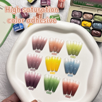 Gel UV liquide de la série Ruofu Sunrise, design français, haute saturation, dégradé, certifié MSDS pour les salons de manucure professionnels