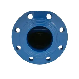 Ductile Iron Flange Rubber Disc Check Valve Swing Check Valve DN100 PN16 4 Inch