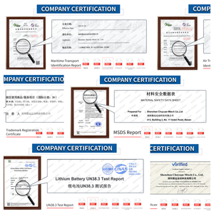 Embarcación <span class=keywords><strong>El</strong></span>éctrica Certificada CE RoHS UN38.3 MSDS, Moto Acuática Personal, Documentación de Cumplimiento Completo, Documentación de Exportación, Comercio Global - Product Image 5