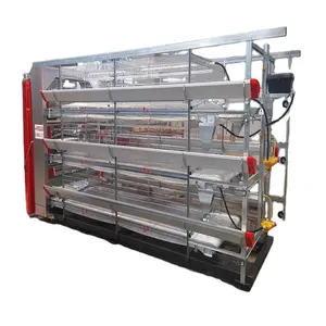 Poultry farm chicken house broiler cage automatic brolier breeder cage system