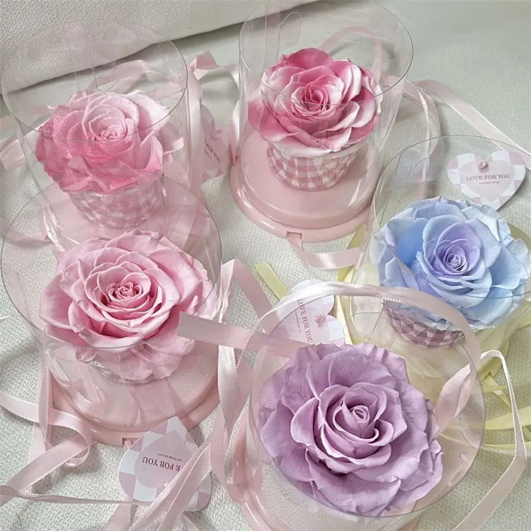 Large Single Bundle Korean Eternal Rose Cake Cup Design Roses Wholesale Beauty Forever Dried Eternal Preserved Flower