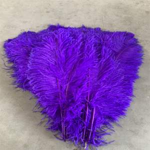 75-80Cm Màu Tím Đà Điểu Lông Cho Tự Làm Thủ Công Tóc Trang Phục Câu Cá Phụ Kiện <span class=keywords><strong>Fly</strong></span> Buộc Chất Liệu Giấc Mơ Bắt Fringe Trang Trí Nội Thất - Product Image 2