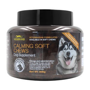 Suppléments pour animaux de compagnie Calming Chews Private Label Supplément pour friandises pour chiens Nutrition naturelle pour animaux de compagnie Prébiotiques et probiotiques pour chien et chat - Product Image 1